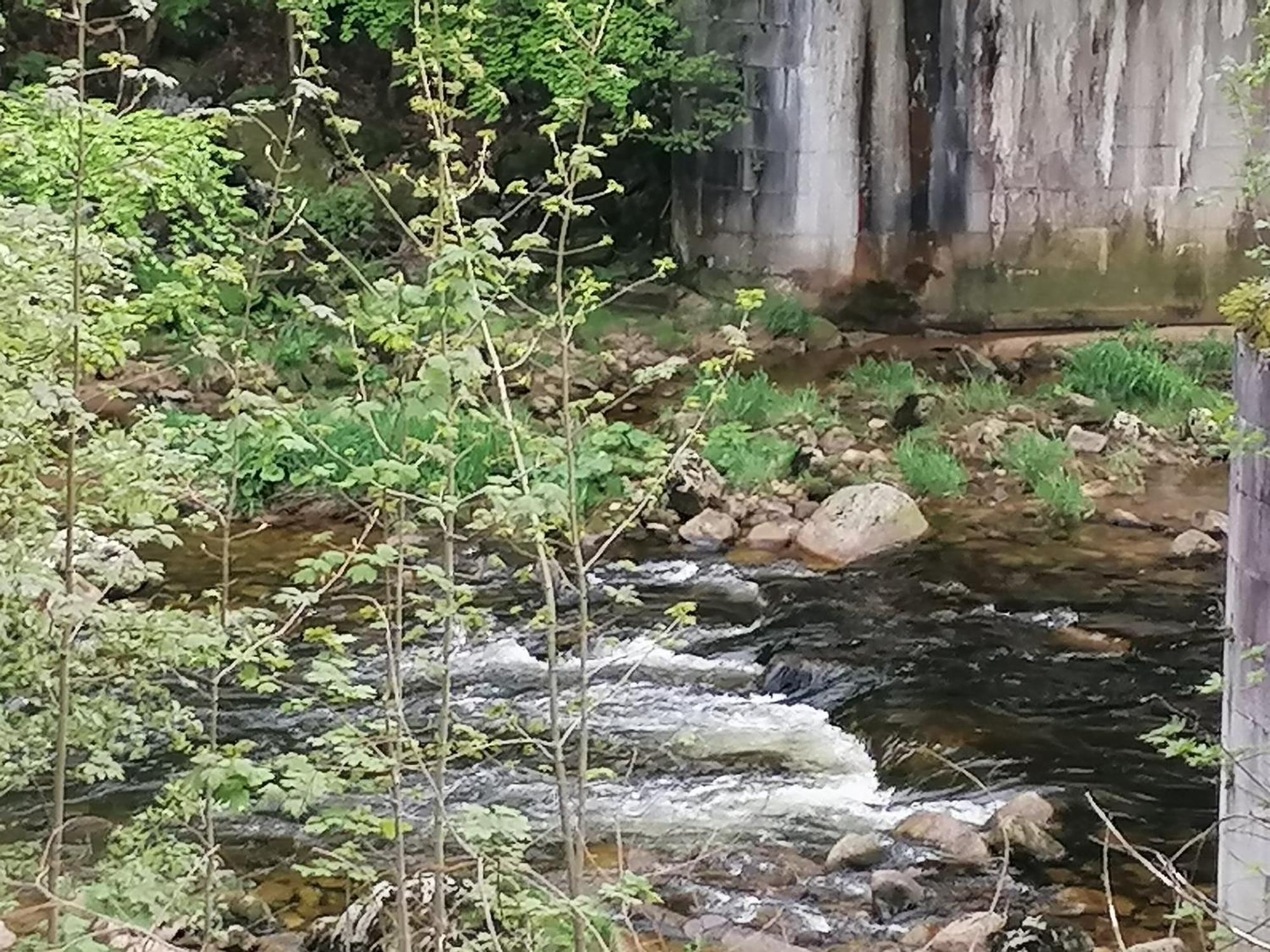 Hotylek Na Myte Harrachov Exterior foto